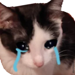 Cat crying sticker