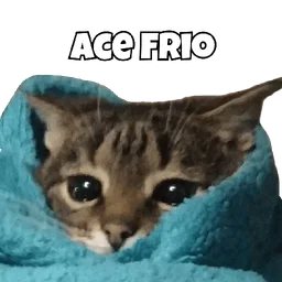 It's cold sticker
